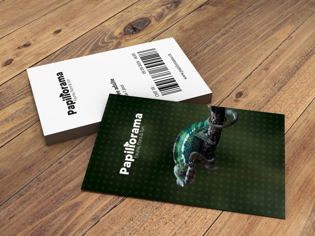 caméléon papillorama mockup