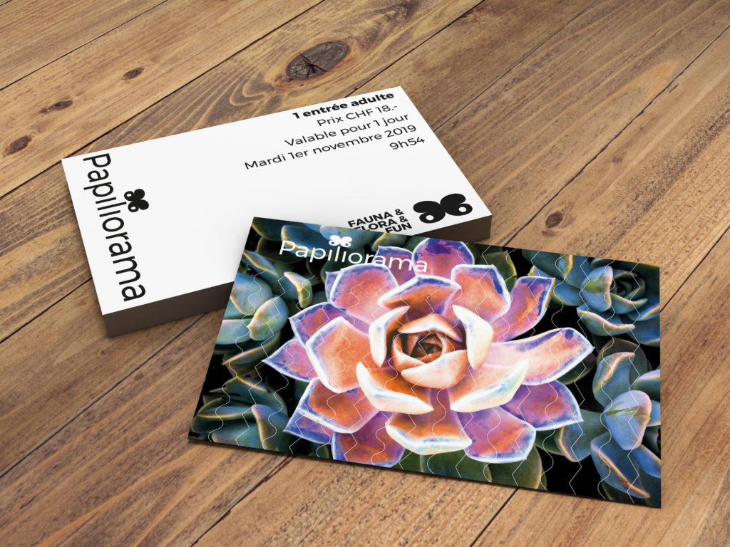 fleur papillorama