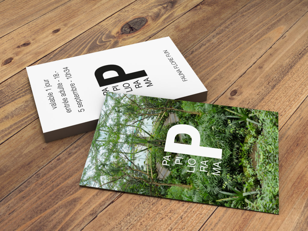 papillorama faune mockup